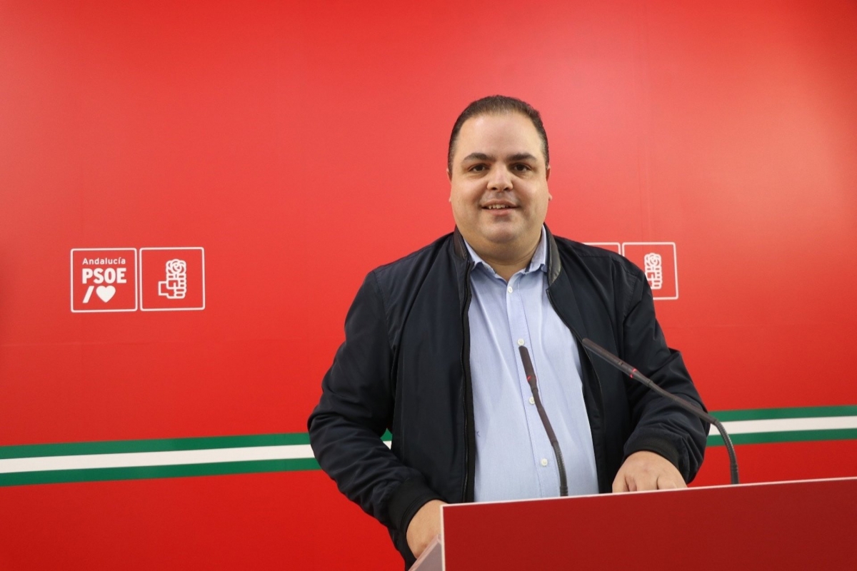 Víctor Torres (PSOE) tacha de "chapuza" las obras en la A-315