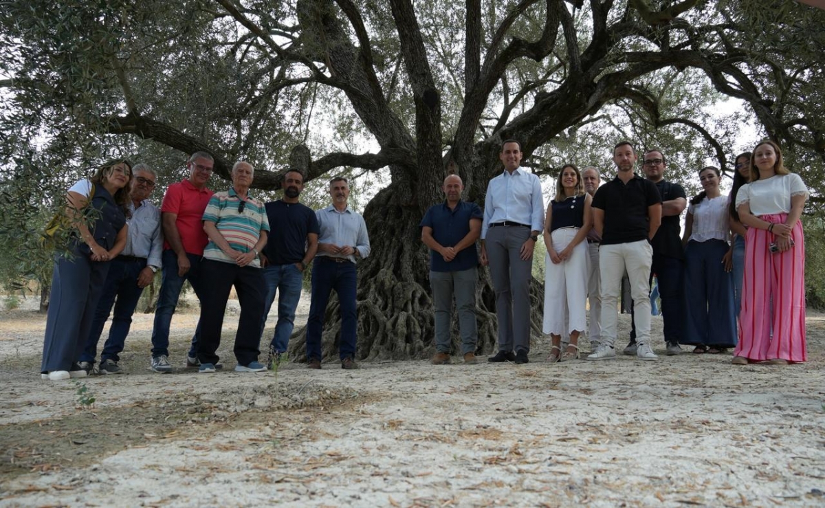  El olivo milenario Acebuche de las Hoyas, nuevo recurso de OleoturJaén 