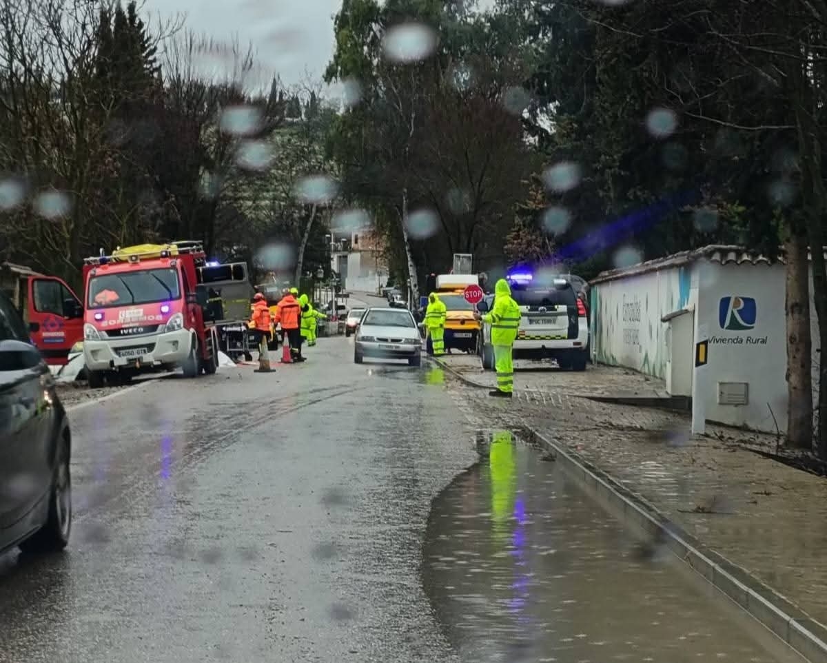  Un hombre choca contra un árbol  en la carretera de Santo Tomé 