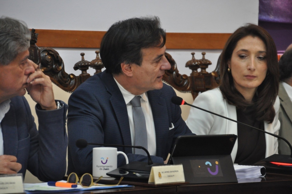  El pleno aprueba la moción del PP del AVE por Alcázar de San Juan 