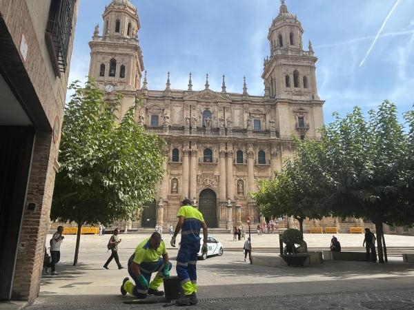 Refuerzo de la limpieza de imbornales para prevenir inundaciones