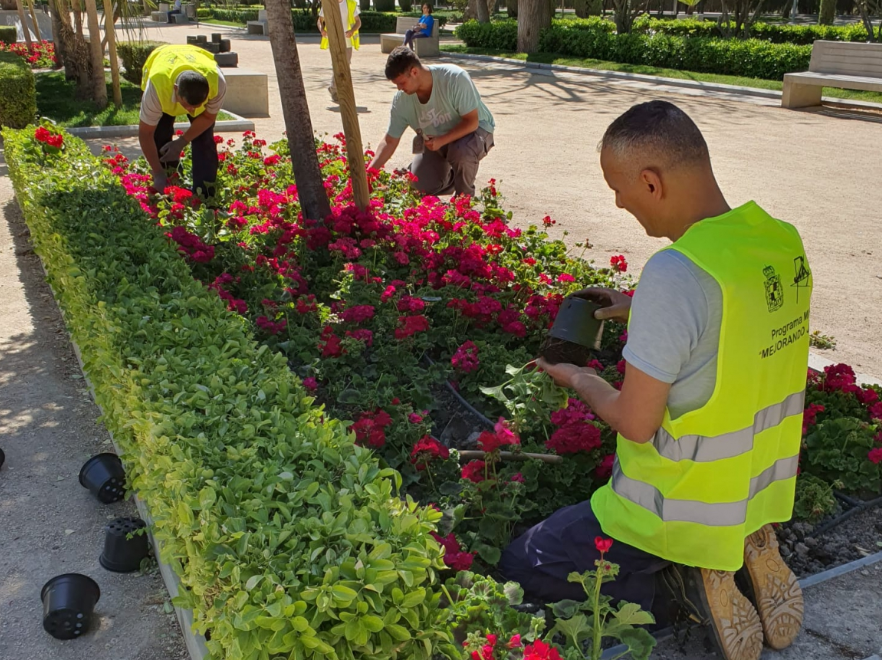  El Ayuntamiento plantará más de 700 árboles antes de final de año 