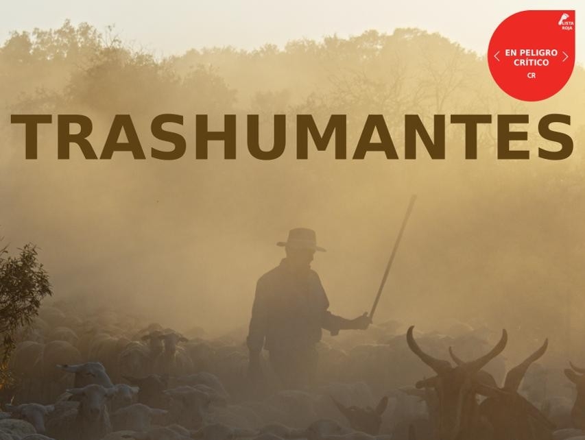  La UJA estrena el documental ‘Trashumantes en Peligro Crítico’ 