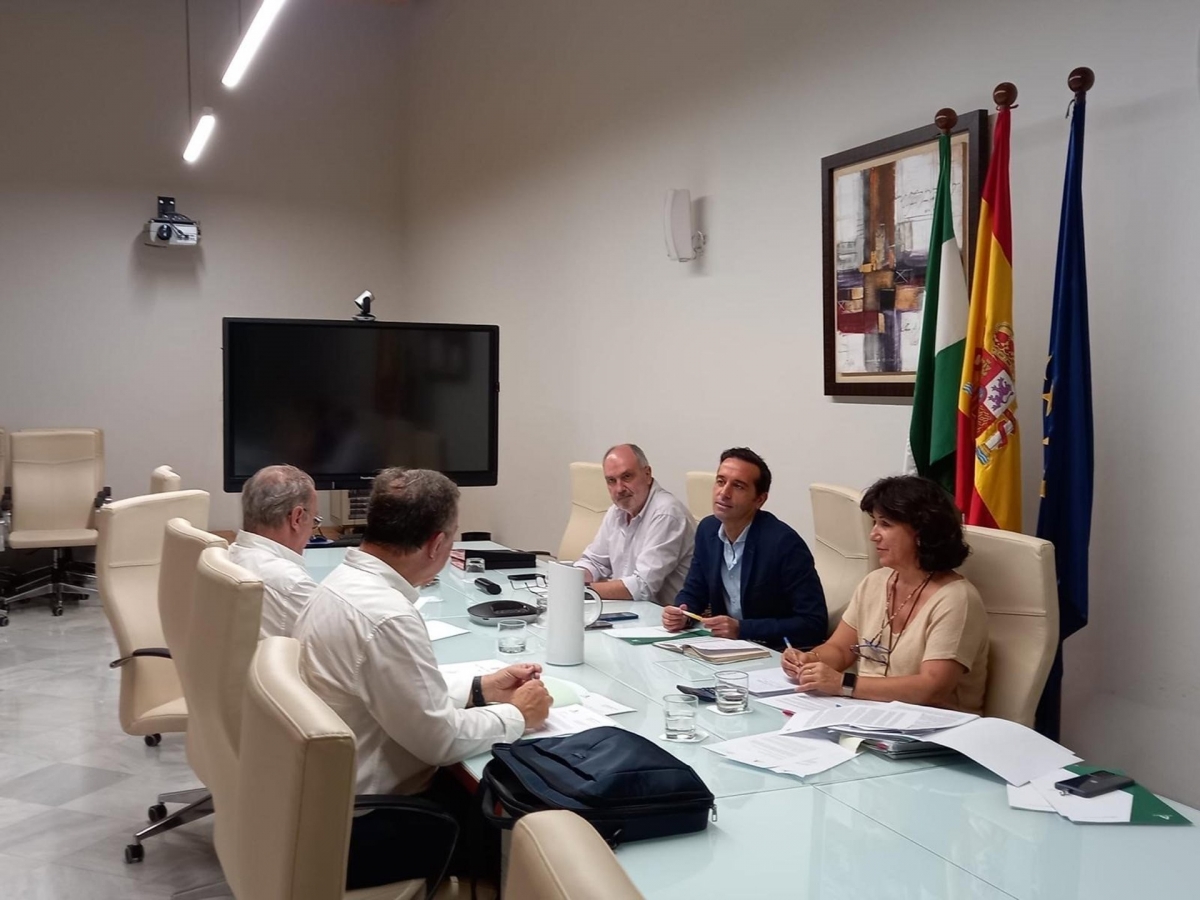  Hasta 4.345 jiennenses reciben asistencia jurídica gratuita 