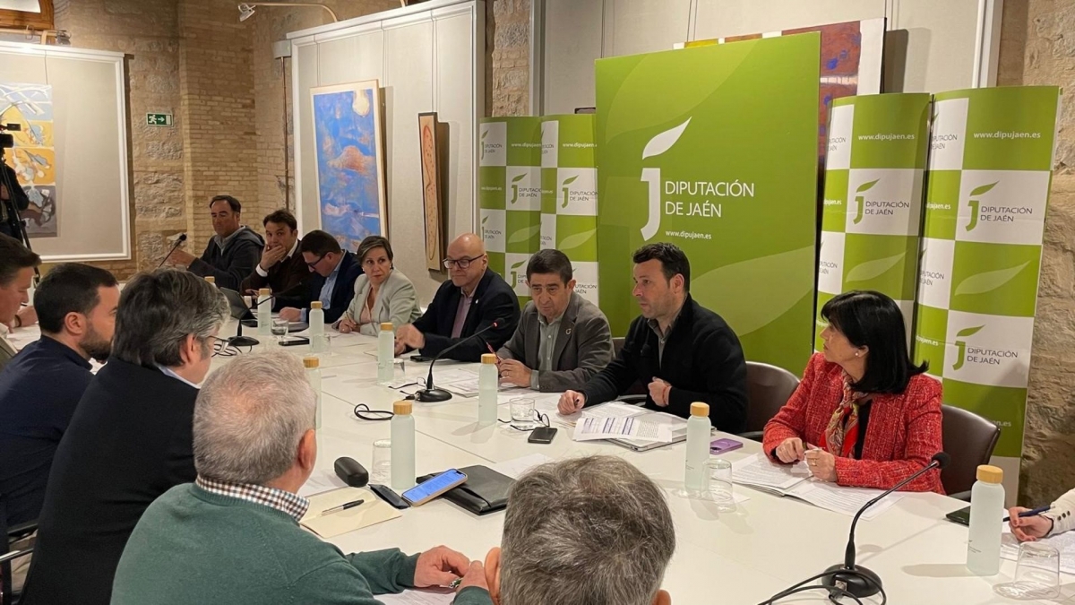  El Consejo del Aceite de Oliva señala daños en 80.000 ha. de olivar 