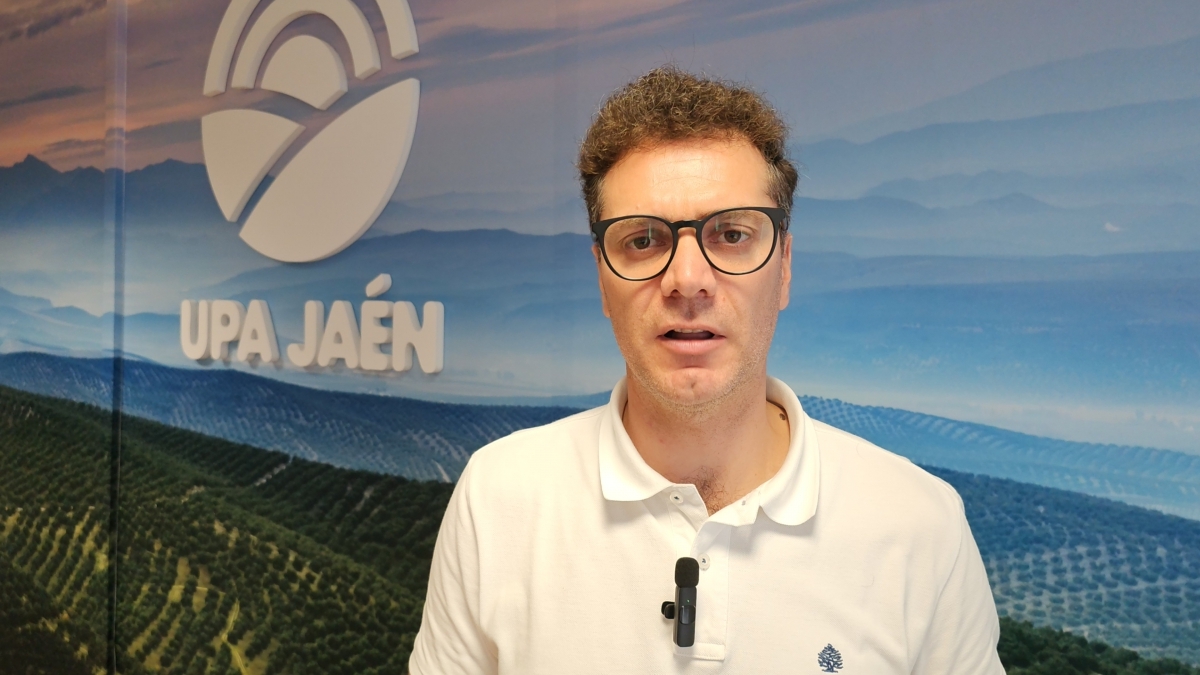 UPA reclama medidas para revertir "los precios ruinosos del aceite"