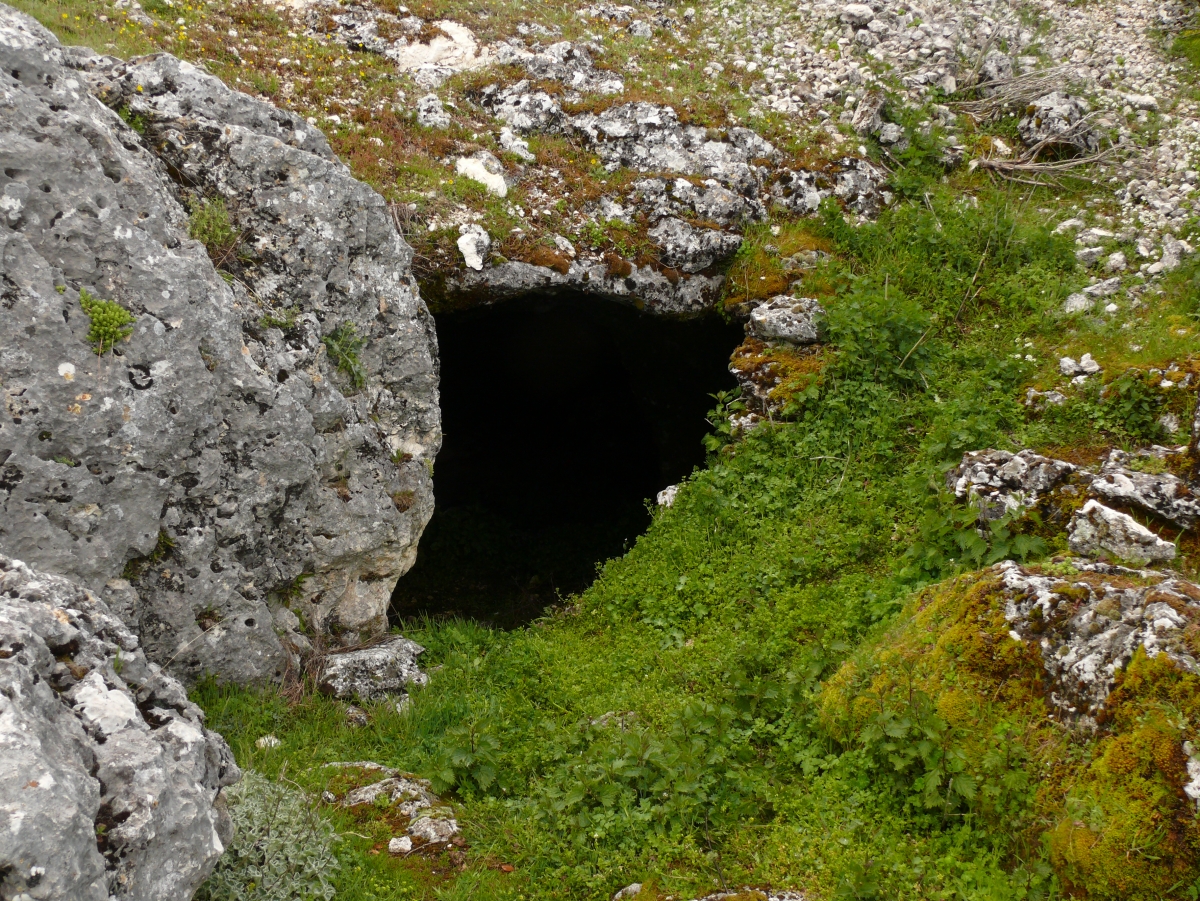  La Cueva del Jabalí, declarada tercera reserva entomológica de Jaén 