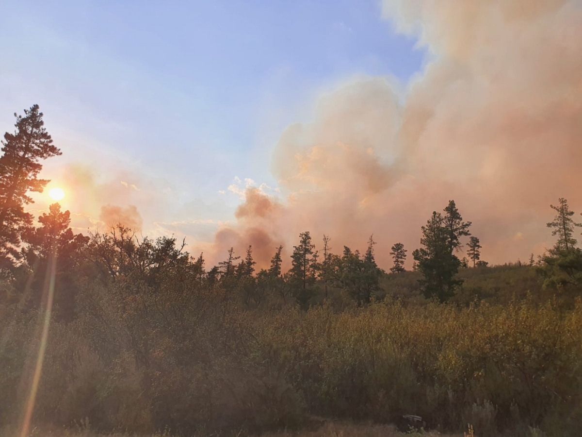  142 hectáreas se han quemado en el incendio ya extinguido de Santa Elena 
