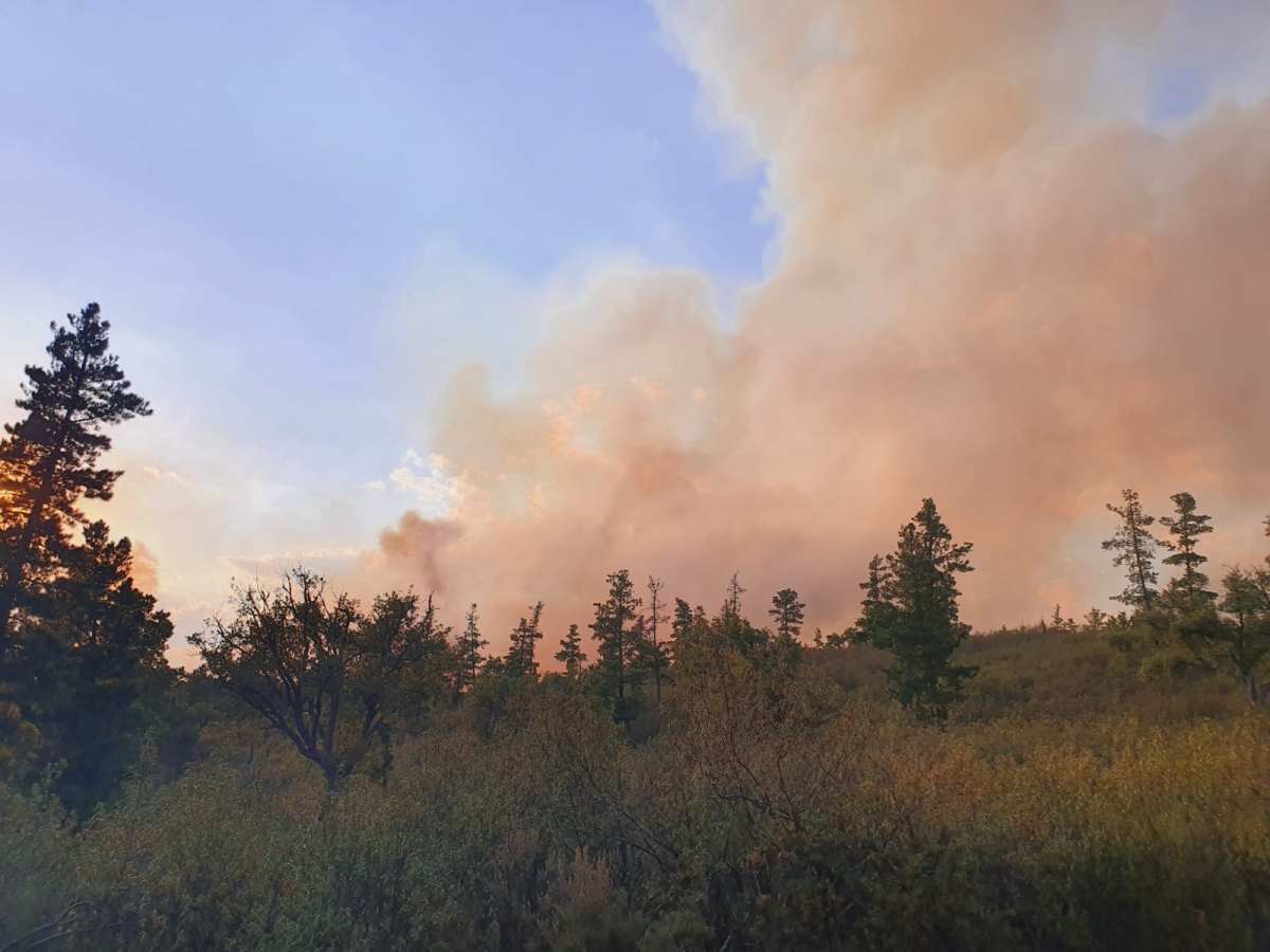  Estabilizan el incendio de Santa Elena y permiten regresar a los evacuados 