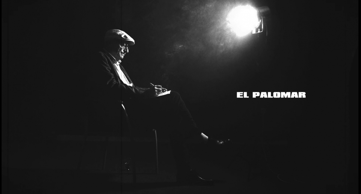  El Palomar TV 