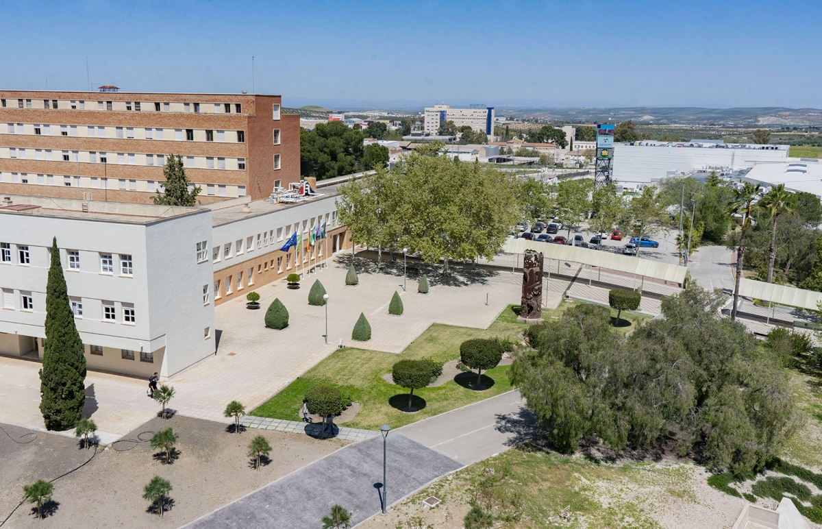 El rector destaca el ascenso de la UJA en el prestigioso ranking Shanghái