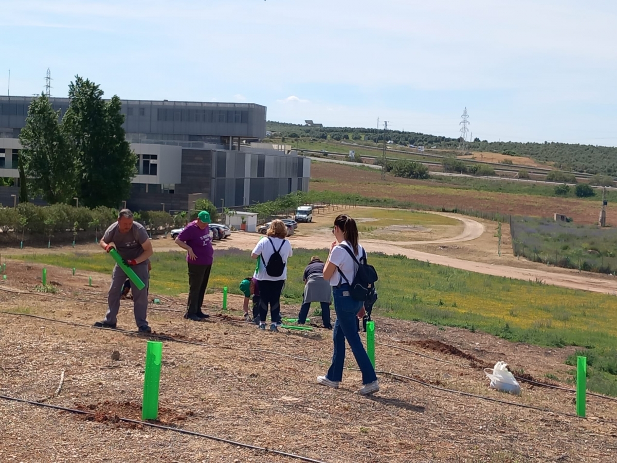  Universitarios del campus de Linares celebran una jornada de reforestación 