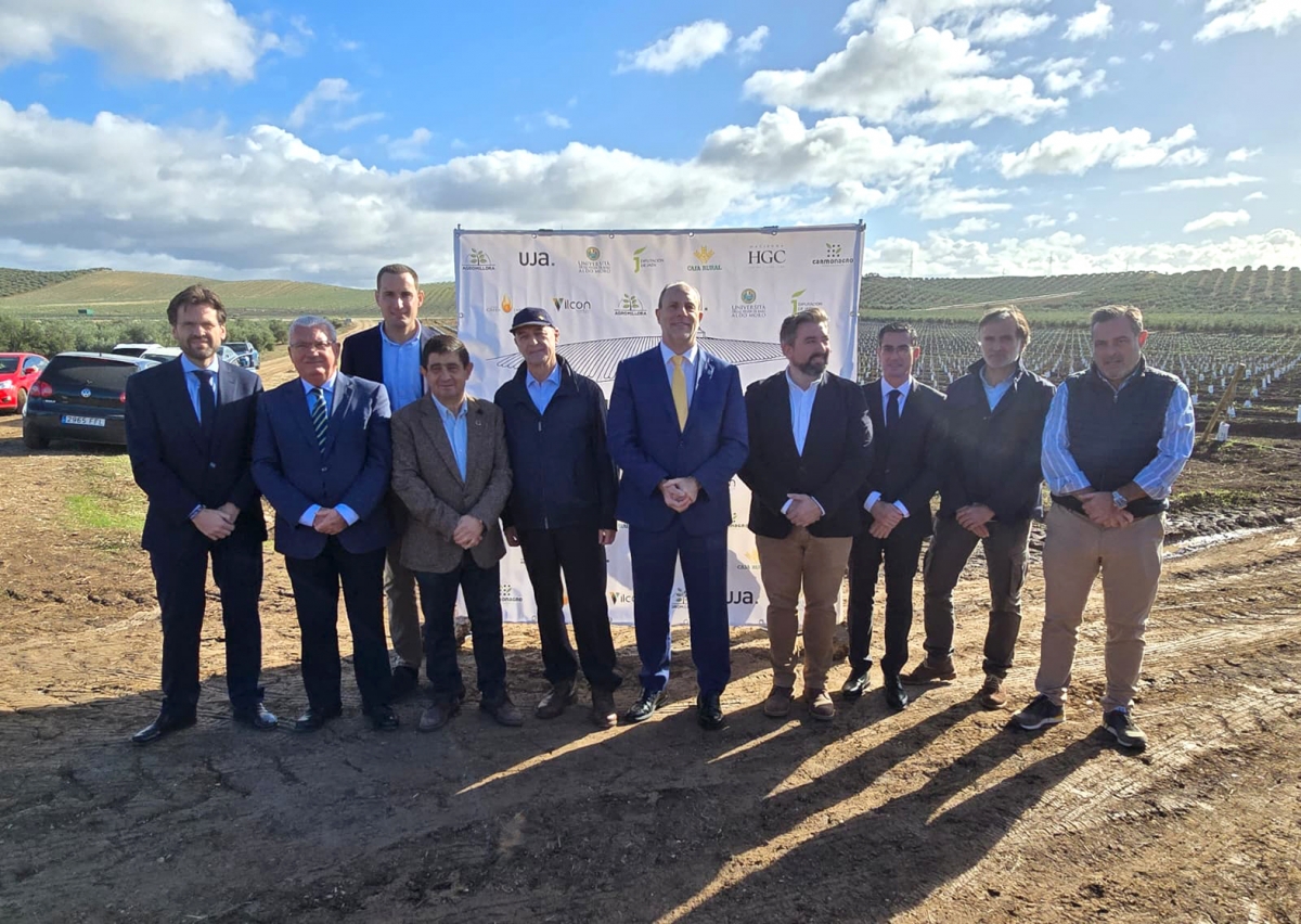  La UJA, la Diputación y Caja Rural se unen por un olivar más competitivo 