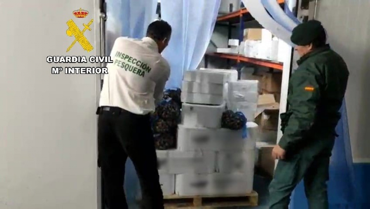  Intervienen en Úbeda más de 270 kilos de pescado y marisco no apto 