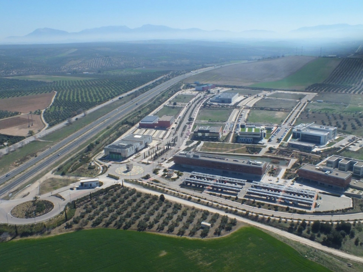  Encargan la construcción del Centro de Calidad del Aceite de Oliva 