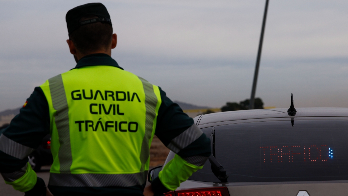  Muere una persona atropellada por un camión en la A-44, en La Guardia 