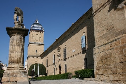 La sostenibilidad en el olivar, a debate en la UJA en septiembre