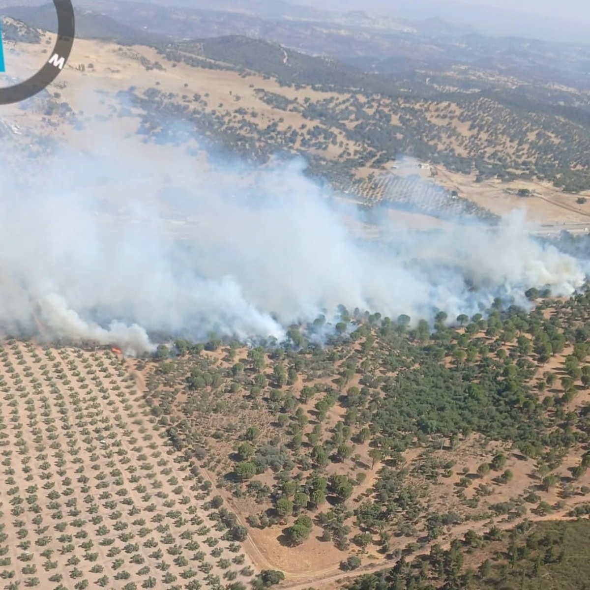  Controlado el incendio declarado junto a la A-4 en Santa Elena 