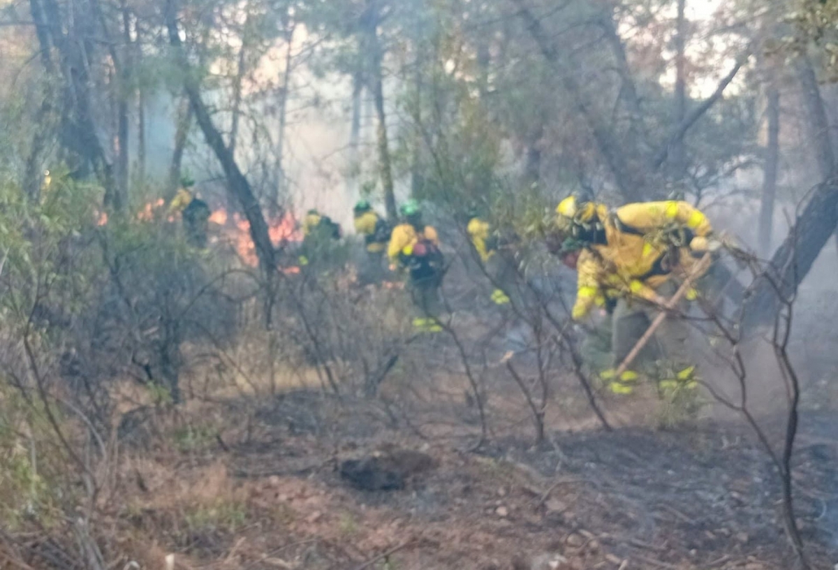  La extinción del incendio de Santa Elena evoluciona favorablemente 