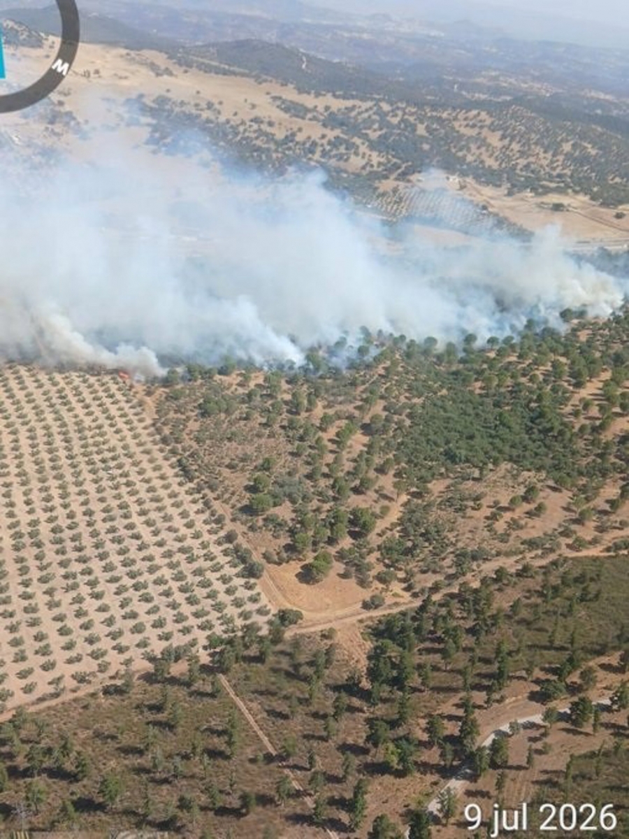  Nuevo incendio en Santa Elena junto a la autovía A-4 