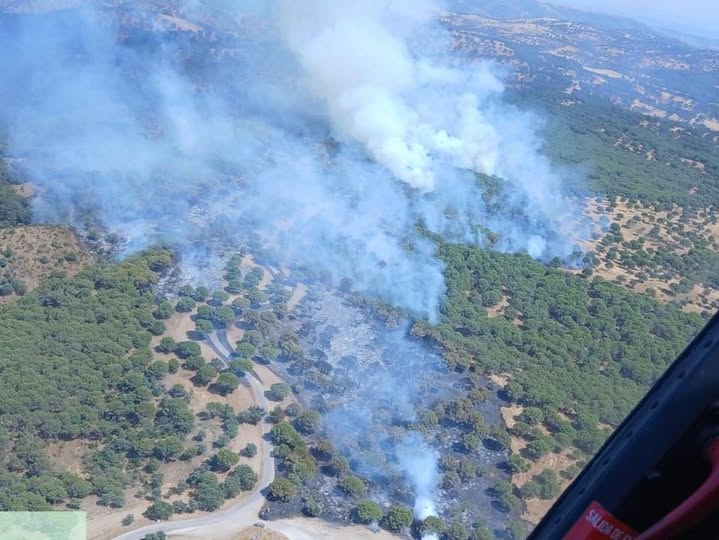 Un nuevo incendio azota Andújar en la finca de Selladores-Contadero