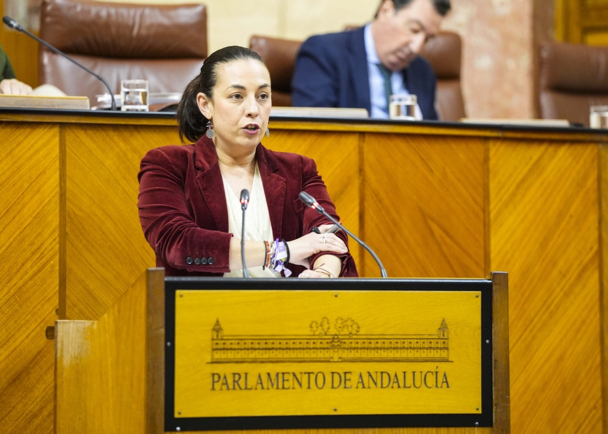  El PSOE acusa al PP y la Junta de "no aportar nada al tranvía" 
