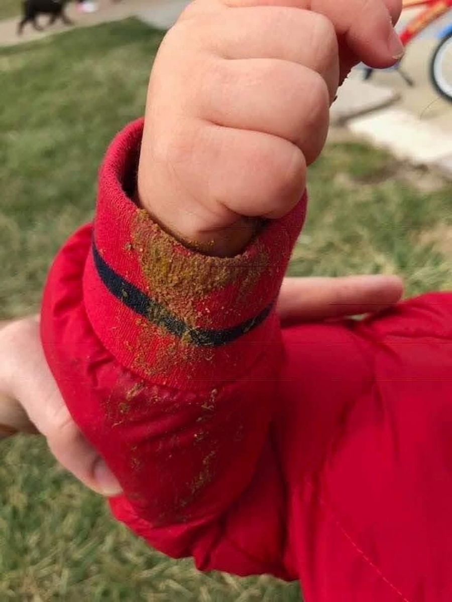  El PP pide mejorar la limpieza los excrementos caninos 