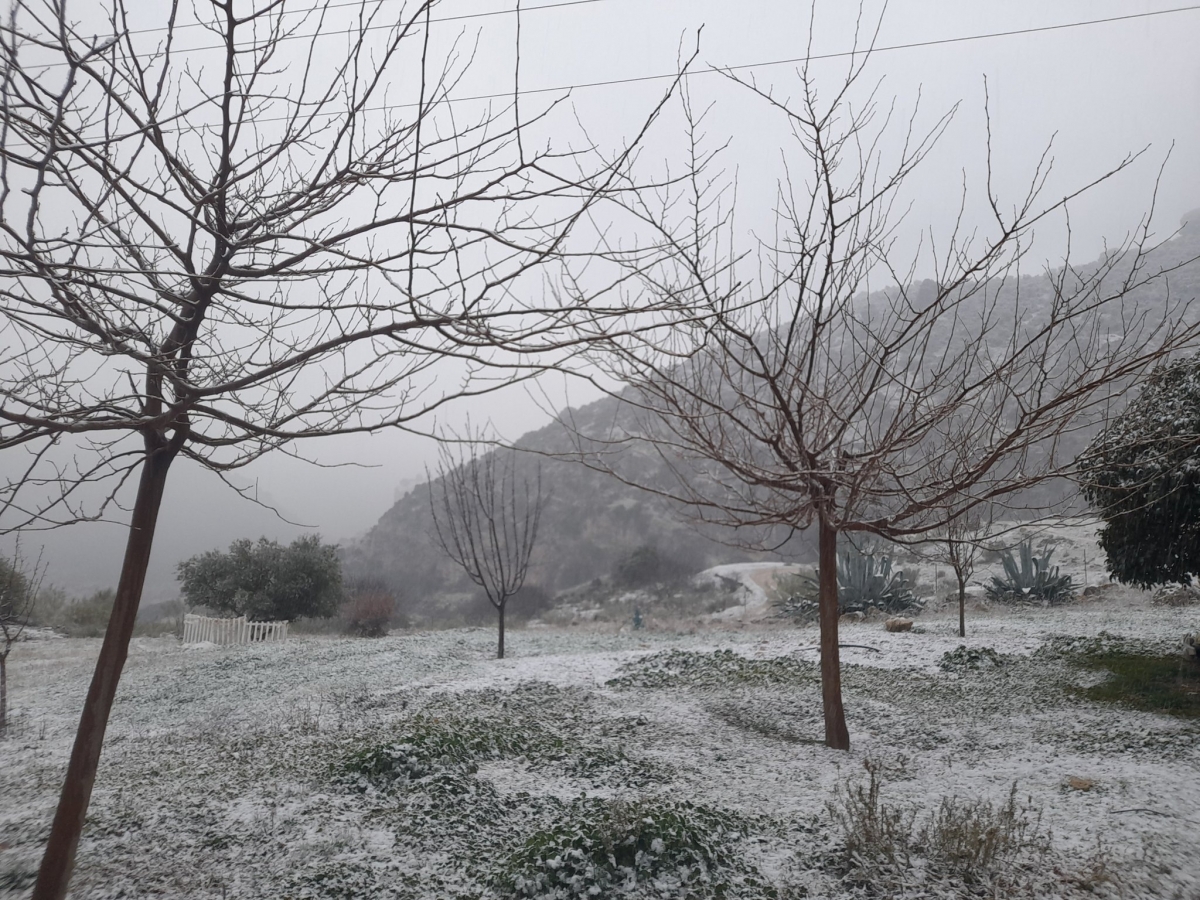  La Junta destina 400 toneladas de sal en labores durante el temporal 