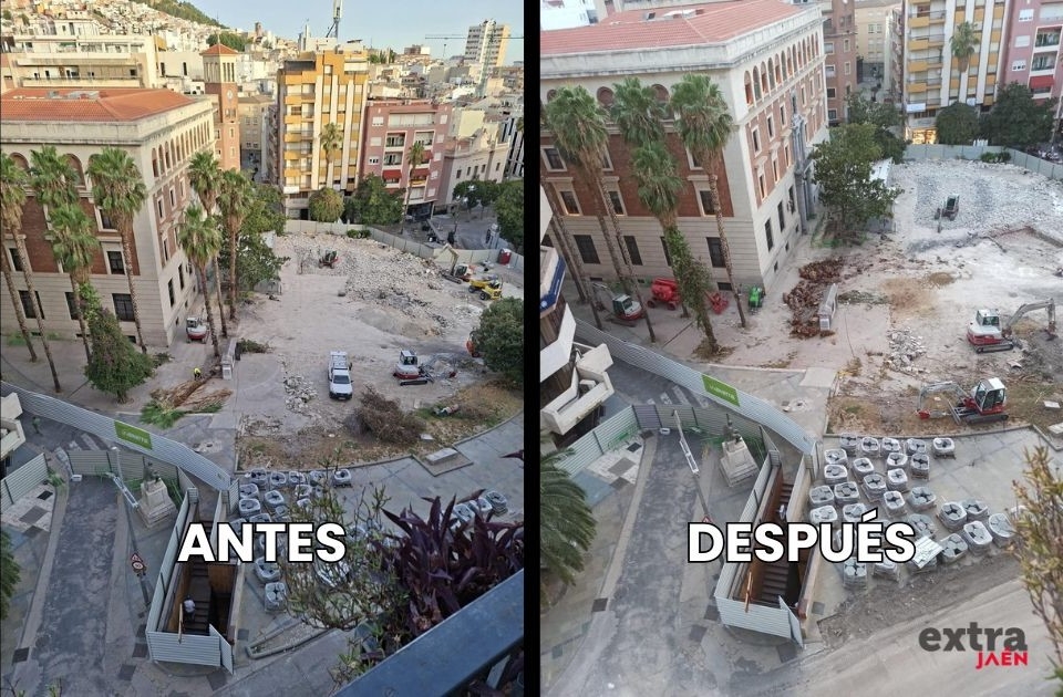  El PP critica la tala de cuatro palmeras en la Plaza de la Constitución 
