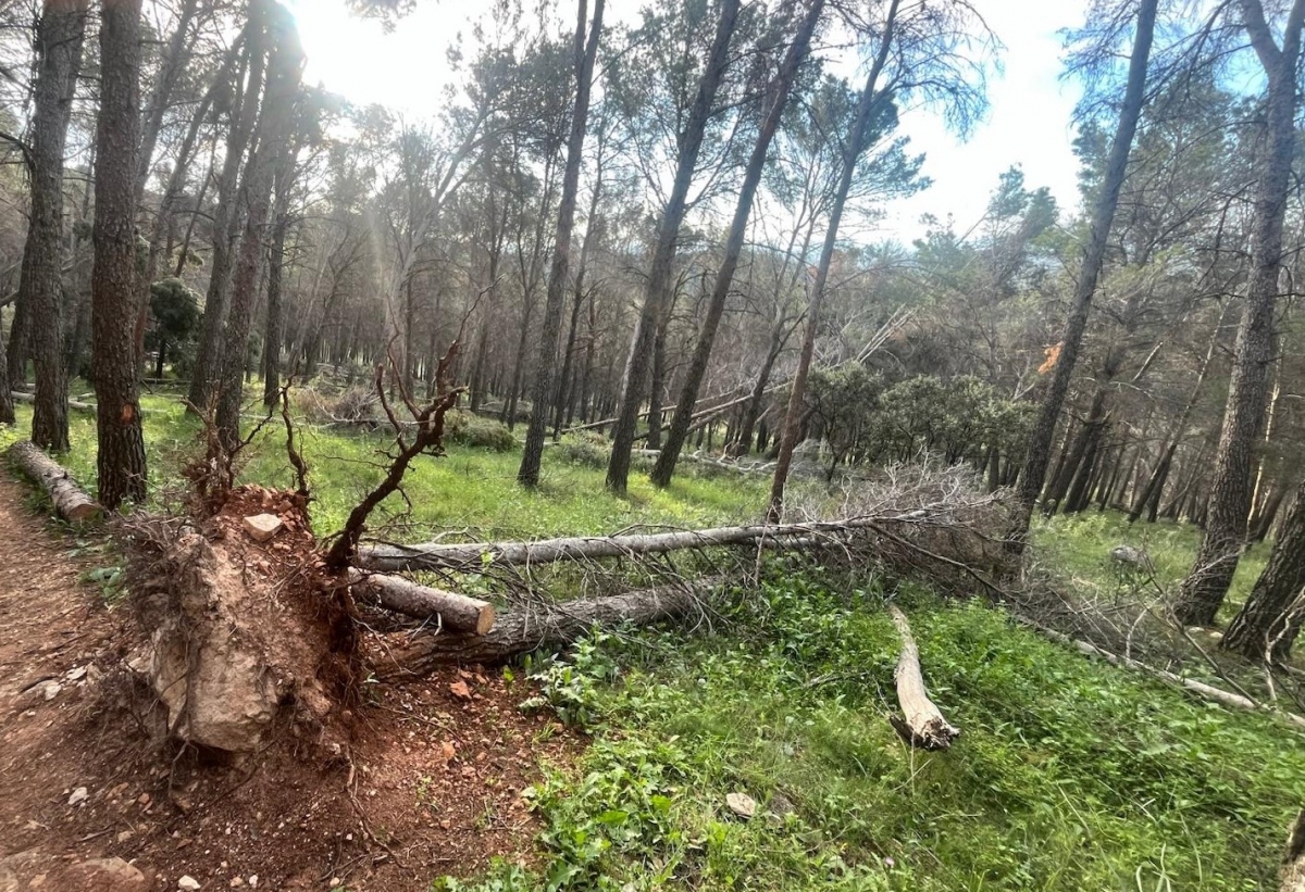  JM+ reclama a la Junta que limpie los parques periurbanos de la capital 