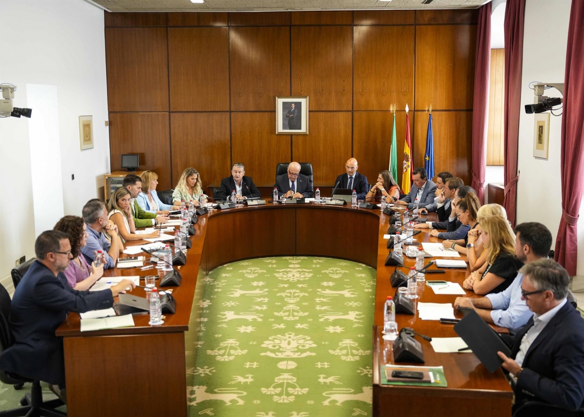 El PP-A rechaza celebrar un Pleno sobre incendios forestales