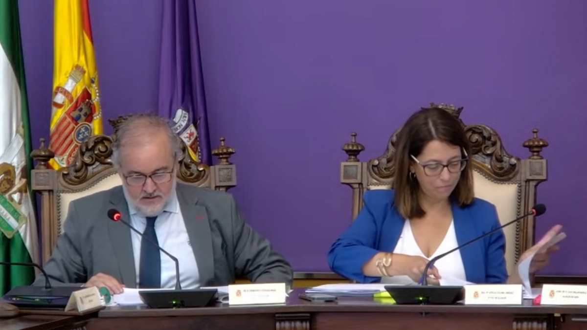  El pleno municipal aprueba ceder la recaudación a la Diputación 