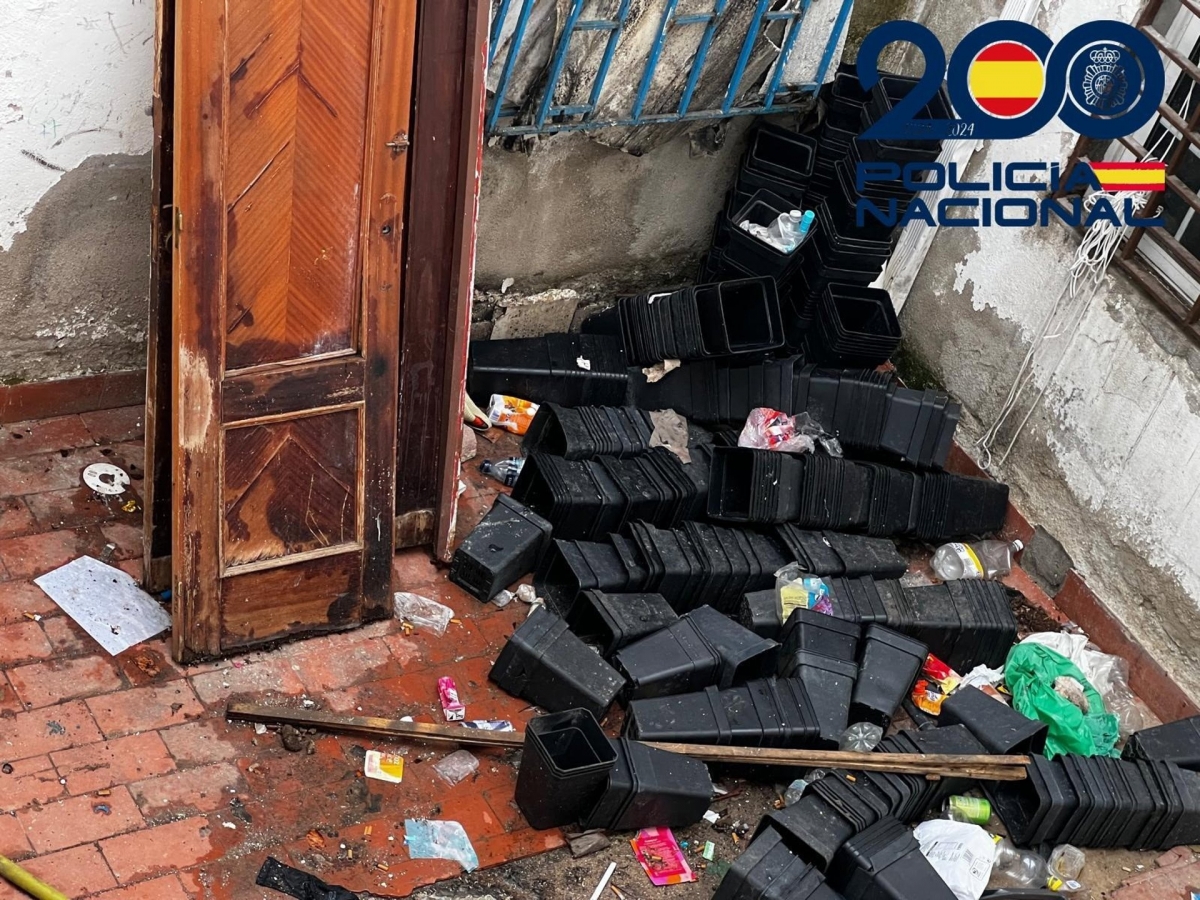  Localizadas en Linares cien viviendas con enganches ilegales a la luz 