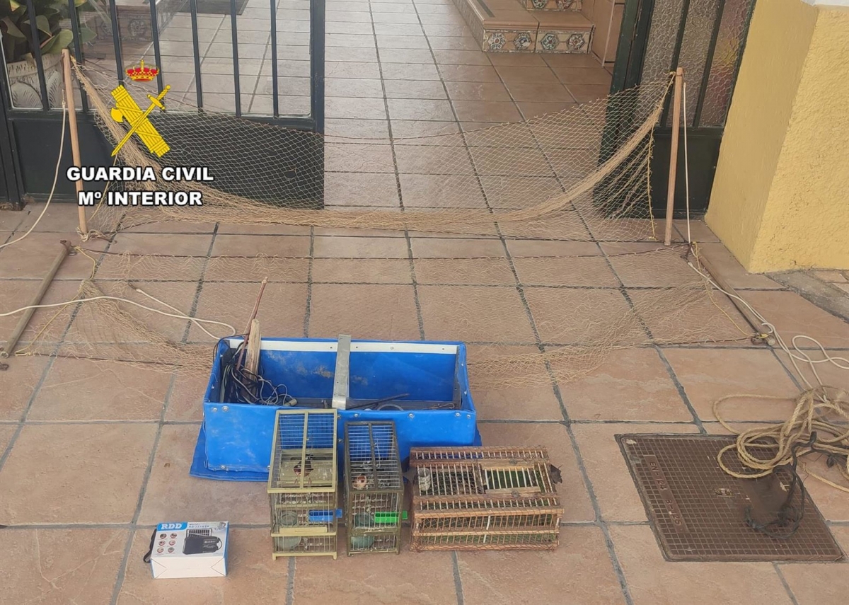  Investigan a un hombre por capturar jilgueros con un método prohibido 