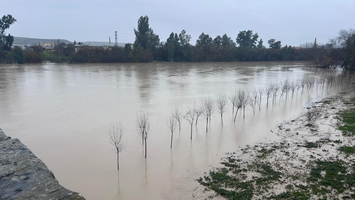  Aquí puedes consultar si apareces en las primeras ayudas por el temporal 