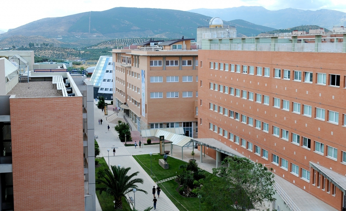 La UJA presenta nuevos másteres, diplomas y cursos de formación continua