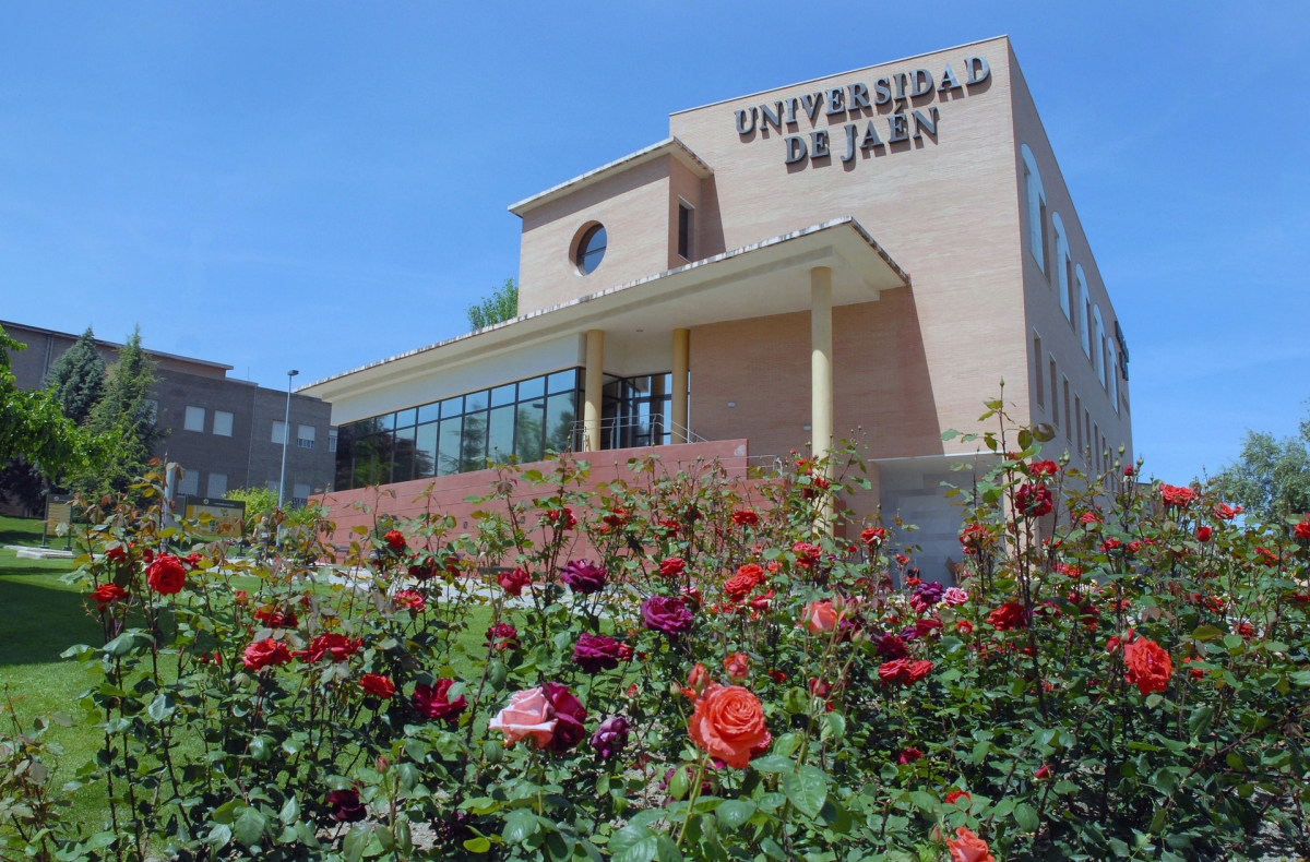  El Consejo de Universidades da la razón a la UJA con el nuevo Grado 