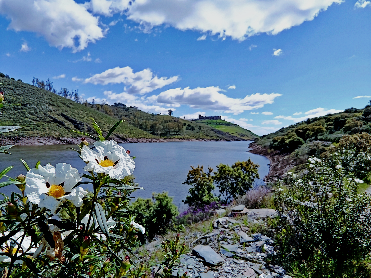  Vereda de las aguas, sendero de plata y bronce 