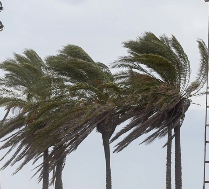  Protección Civil y Emergencias alerta de lluvias intensas y persistentes 