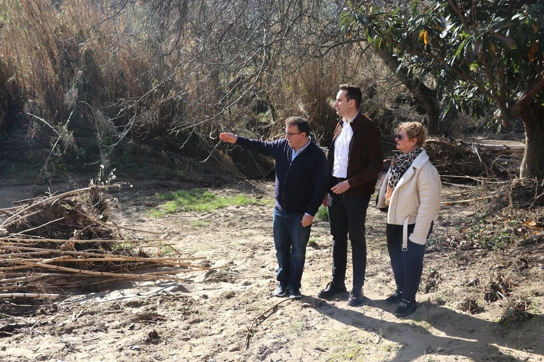  Las ayudas estatales a los agricultores llegarán en las próximas semanas 