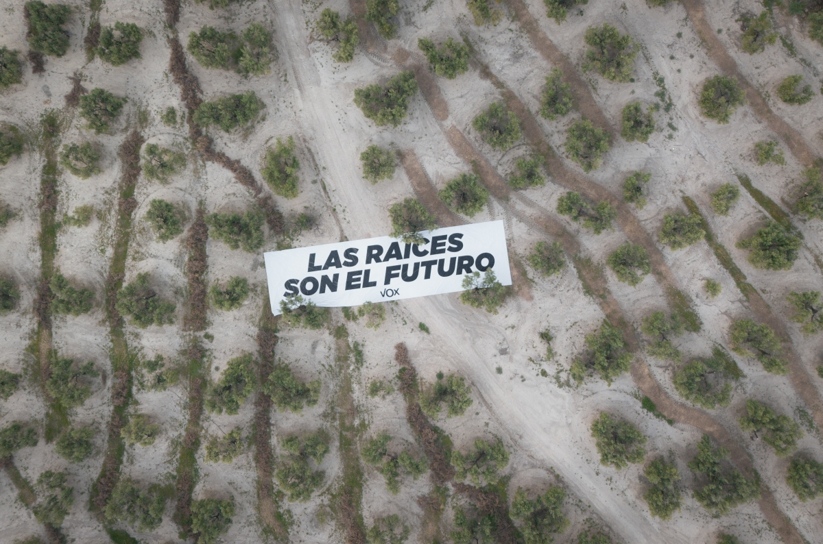  VOX despliega una lona en un olivar contra el arranque de olivos 