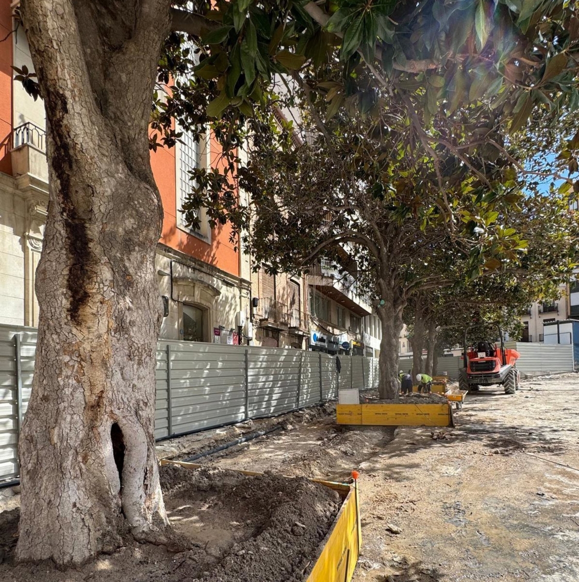  La plaza de la Constitución tendrá más arbolado y masa vegetal 