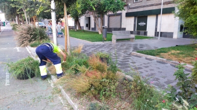  El Ayuntamiento intensifica la limpieza y mejora de zonas verdes 