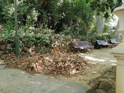  La Concejalía de Medio Ambiente limpia y prepara los Jardines de Jabalcuz 