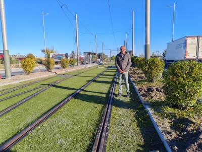  El Ayuntamiento embellece el tranvía con nuevas plantaciones de árboles 