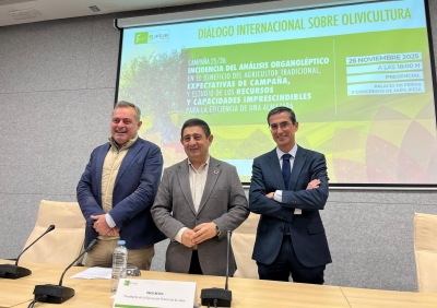  IFEJA acoge un diálogo sobre la rentabilidad del olivar tradicional 