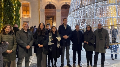  Diputación ilumina con 135.000 luces sus edificios por Navidad 