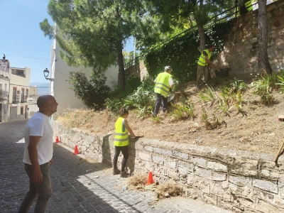  Licitado por más de 157.000 euros el proyecto de reforestación en Jaén 