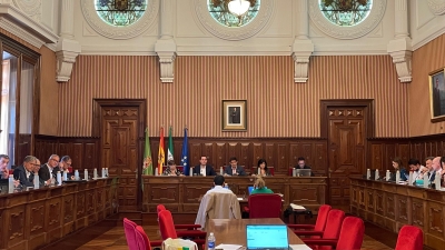  El pleno de la Diputación da luz verde a 7 millones para planes de empleo 