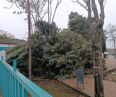  La Junta activa un dispositivo de apoyo psicológico para la población 